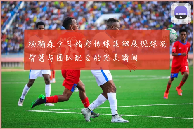 杨瀚森今日精彩传球集锦展现球场智慧与团队配合的完美瞬间